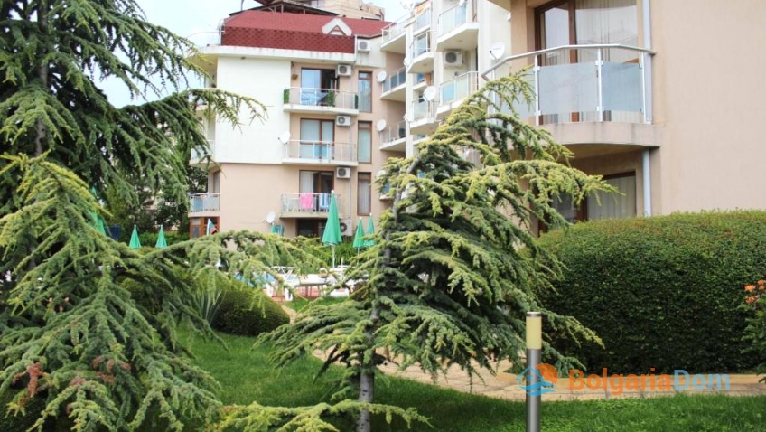 Hvězdná ryba. Foto komplexu 7