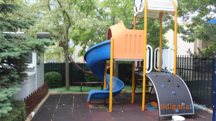 Hvězdná ryba. Foto komplexu 8