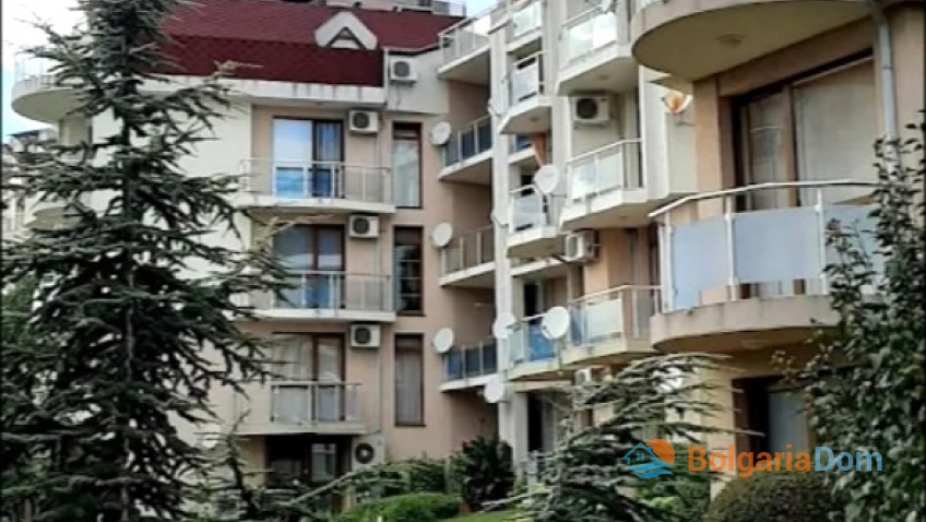 Hvězdná ryba. Foto komplexu 3