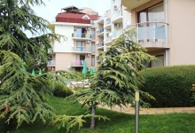 Hvězdná ryba. Foto komplexu 9