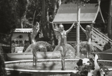 Sweet Home 9. Фото комплексу 5 Sweet Home 9. Фото комплексу 5