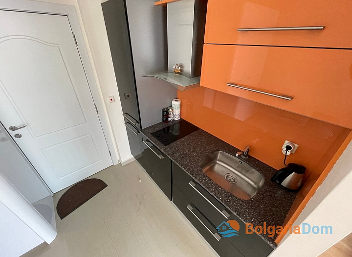 Large furnished studio in a beautiful complex. Photo 4