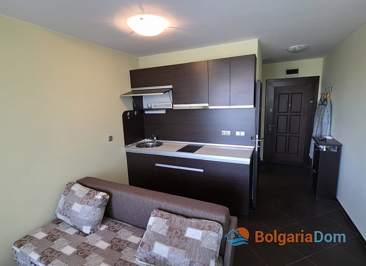 Large and cozy studio in an excellent complex. Photo 3