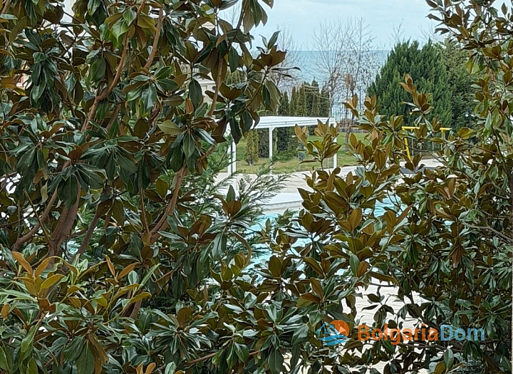 Трехкомнатнаят квартира с  видом на море на первой линии. Фото 13