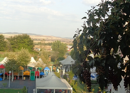 Недорогая двухкомнатная квартира в Солнечном Береге. Фото 12