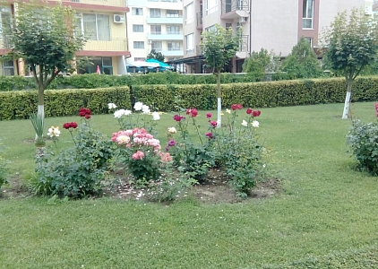 Хорошая квартира с 2 спальнями в центре Солнечного берега. Фото 4 Хорошая квартира с 2 спальнями в центре Солнечного берега. Фото 4