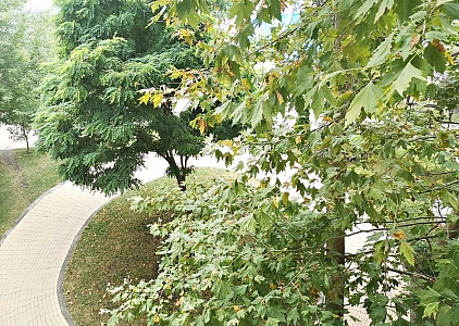 Апартамент с двумя спальнями в 100 м от пляжа в Солнечном Береге. Foto 12 Апартамент с двумя спальнями в 100 м от пляжа в Солнечном Береге. Foto 12