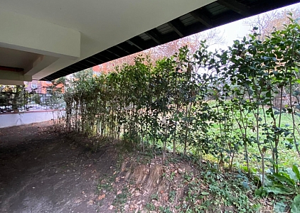 Квартира с двориком в окружении леса . Foto 13