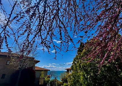 Geräumige Wohnung in einem Luxuskomplex in erster Linie. Foto 5