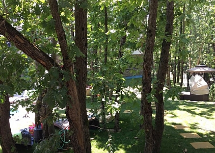 Zelený ráj - nemovitosti v Primorsku. Foto 15