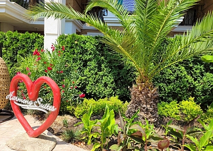 Krásný byt v luxusním komplexu na pobřeží. Foto 16