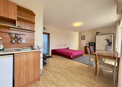 Просторная студия с большой террасой. Фото 16