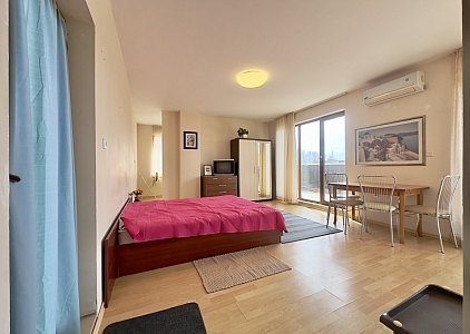 Просторная студия с большой террасой. Фото 13