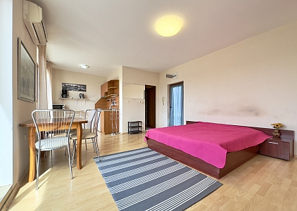 Просторная студия с большой террасой. Фото 3