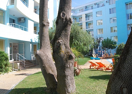 Большая студия в 100 метрах от пляжа. Foto 5 Большая студия в 100 метрах от пляжа. Foto 5