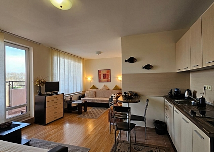 Spacious and beautiful studio in a large gated complex. Photo 12 Spacious and beautiful studio in a large gated complex. Photo 12