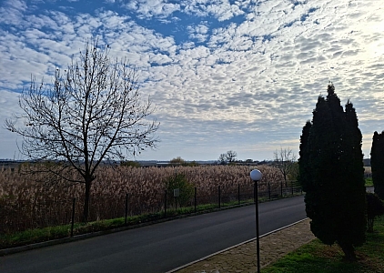 Простора квартира з окремою спальнею у великому сімейному комплексі. Фото 12