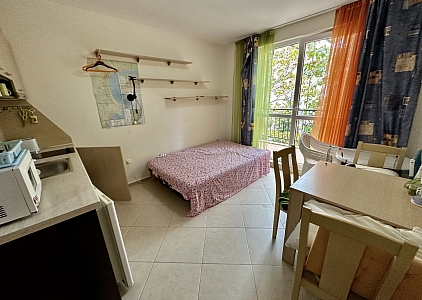 Студия в красивом новом комплексе. Фото 2