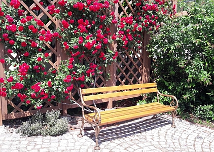 Großes Studio in der ersten Reihe in einem wunderschönen Komplex. Foto 4