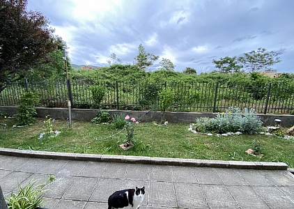  Двухкомнатная квартира в комплексе с низкой таксой поддержки. Фото 21