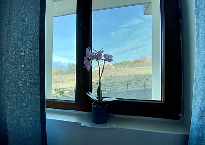 Geräumige Wohnung mit neuen Möbeln in einem Familienkomplex in der Gegend von Kosharitsa. Foto 29