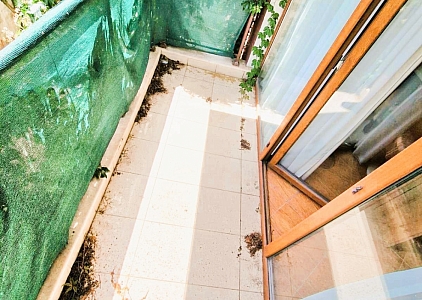 Cozy studio apartment 300 meters from the sea. Photo 7 Cozy studio apartment 300 meters from the sea. Photo 7