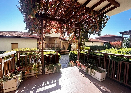 Wiederverkauf im Garden of Eden-Komplex. Foto 14