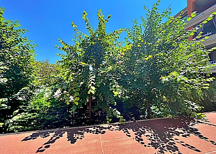 Studio w luksusowym kompleksie na pierwszej linii. Zdjęcie 15