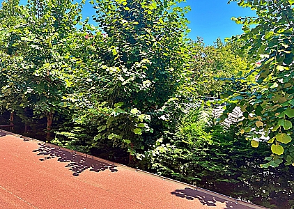 Studio w luksusowym kompleksie na pierwszej linii. Zdjęcie 18