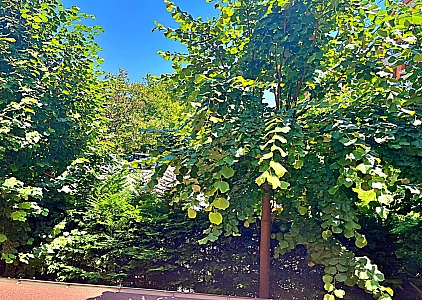 Studio w luksusowym kompleksie na pierwszej linii. Zdjęcie 17