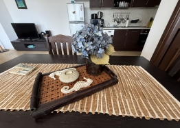 Apartament z widokiem na morze i trawnikiem w pierwszej linii. Zdjęcie 16
